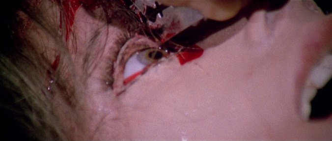 ANDALUSIAN DOGGY STYLE