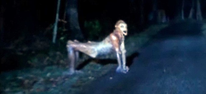 SORRY TO BOTHER YOU, BUT IS THERE ANY WAY I COULD MAYBE GET A RIDE TO THE CHIROPRACTOR?