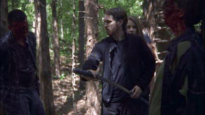 theskyhasfallenimage2